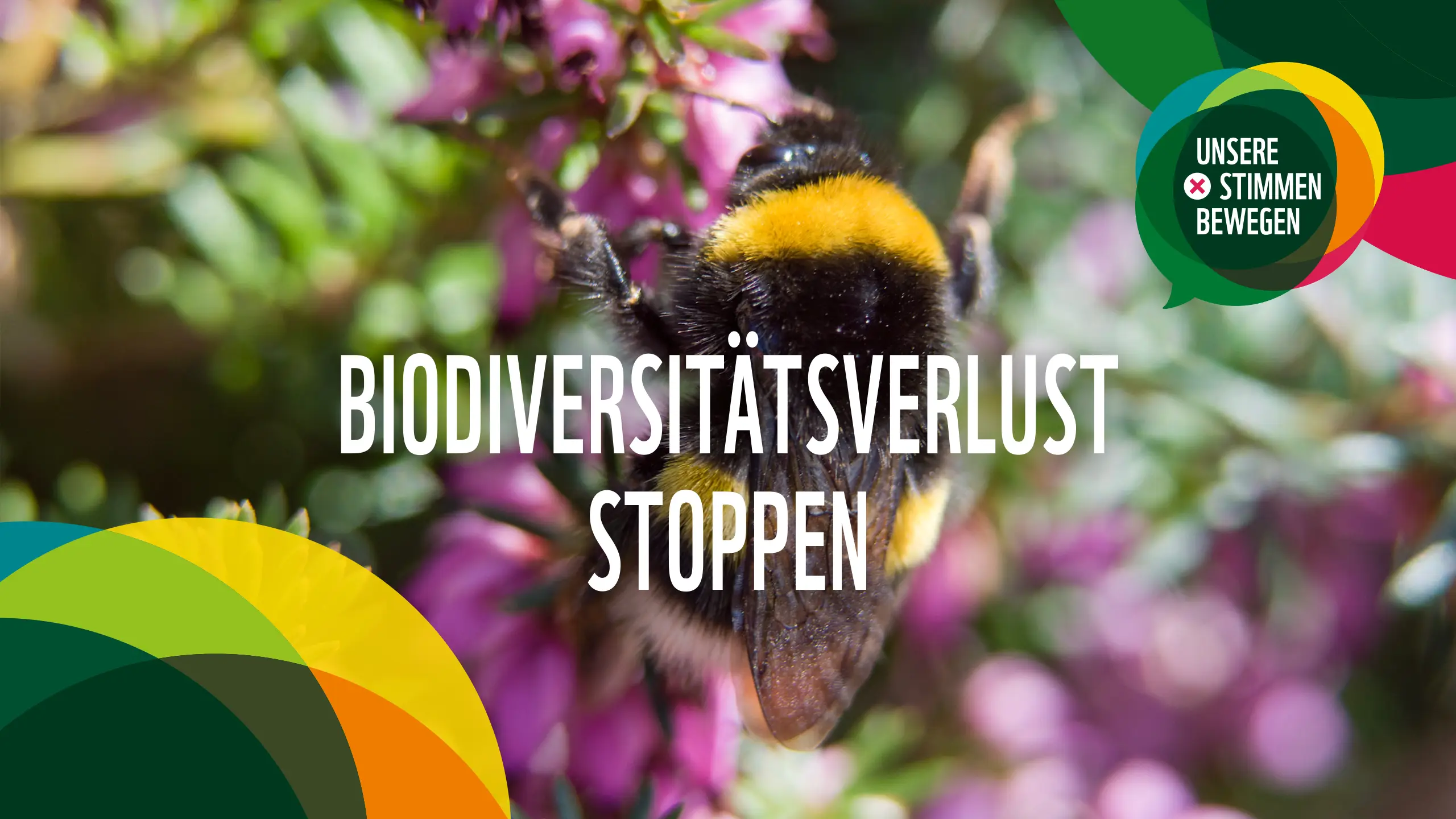 Referenzen WWF | Kampagne: Biodiversitätsverlust stoppen