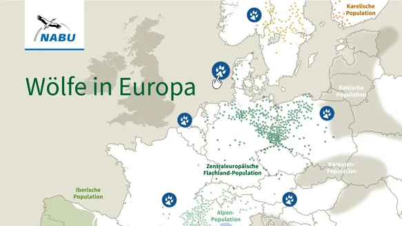 NABU | Interaktive Karte Wölfe in Europa 