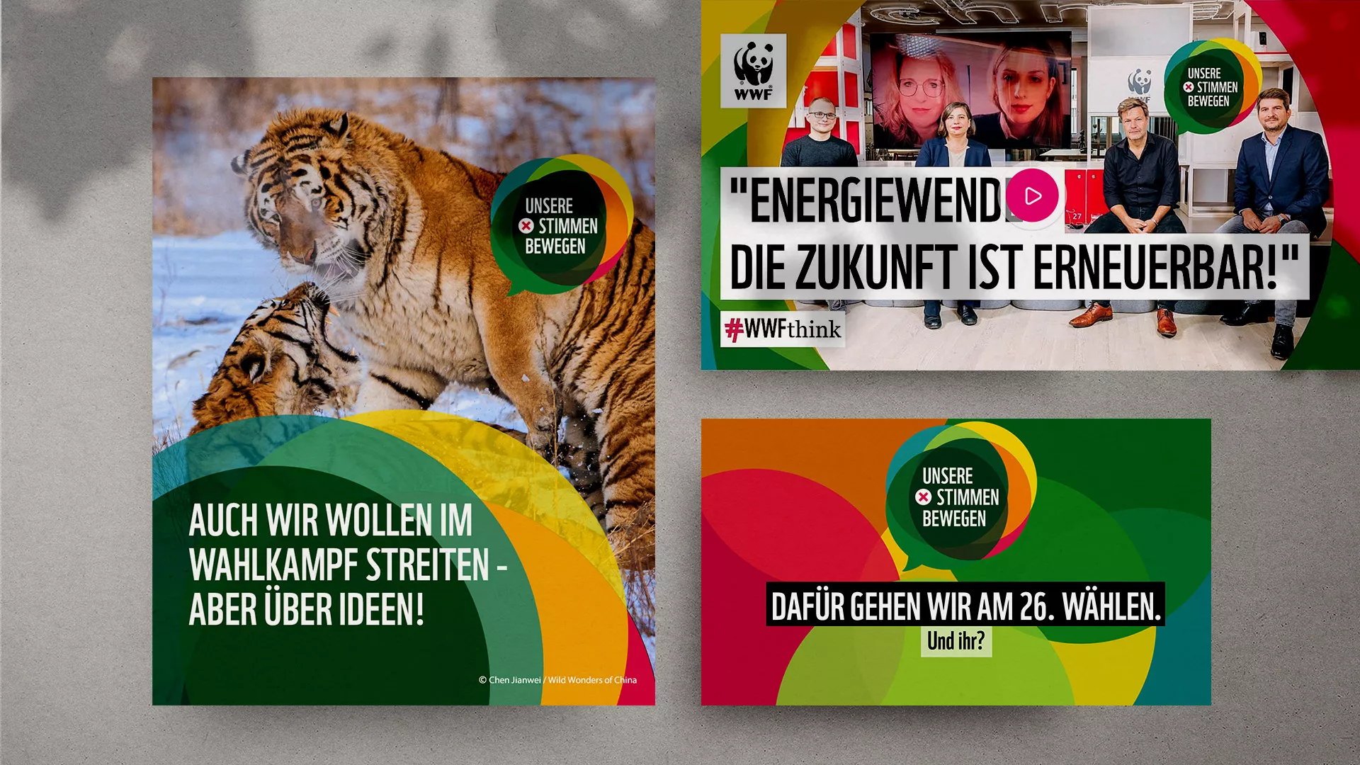 WWF USB | Informationsmaterialien Tiger
