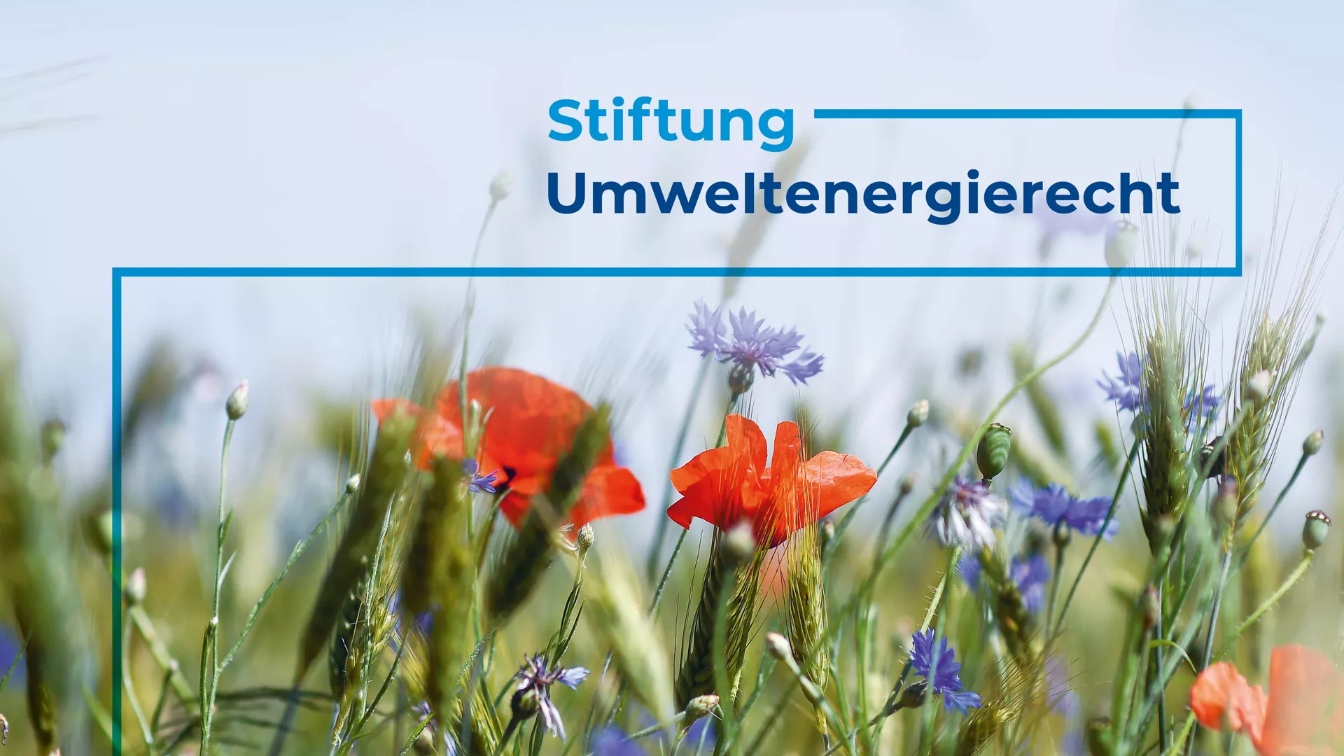 Insight 2021 | Stiftung Umweltenergierecht neues Gestaltungsbild