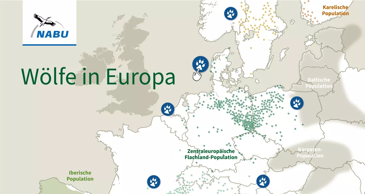 NABU | Interaktive Karte Wölfe in Europa
