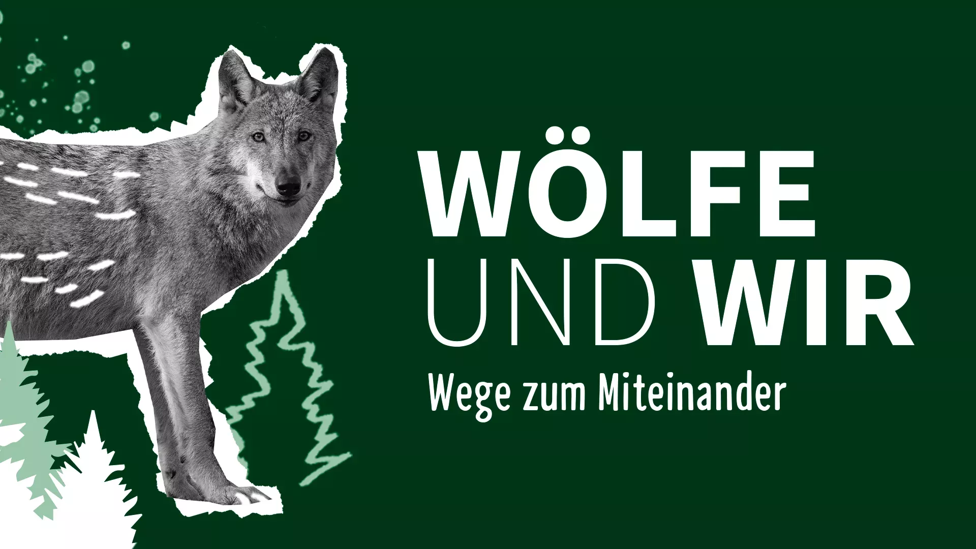 Referenzen NABU Wolf | Slogan: Wölfe und Wir