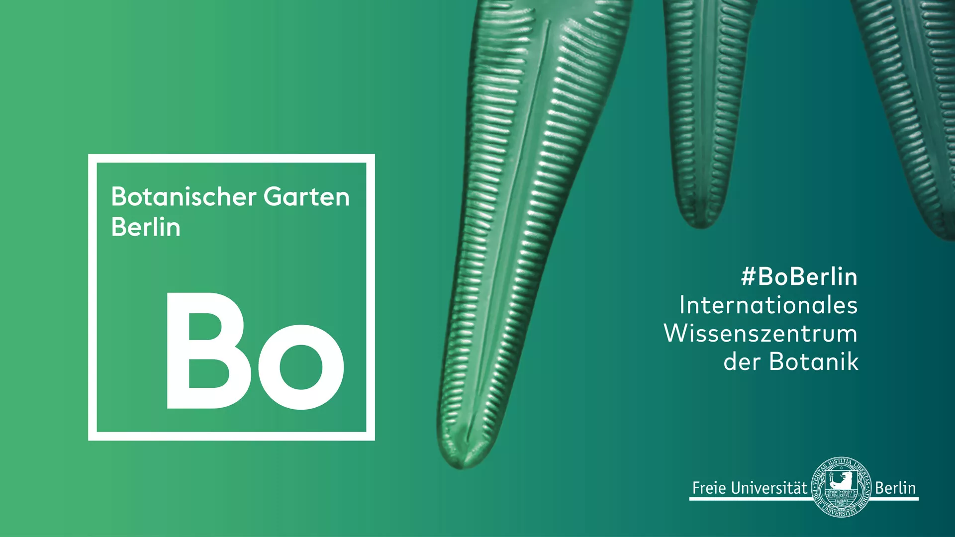 Logo Botanischer Garten Berlin