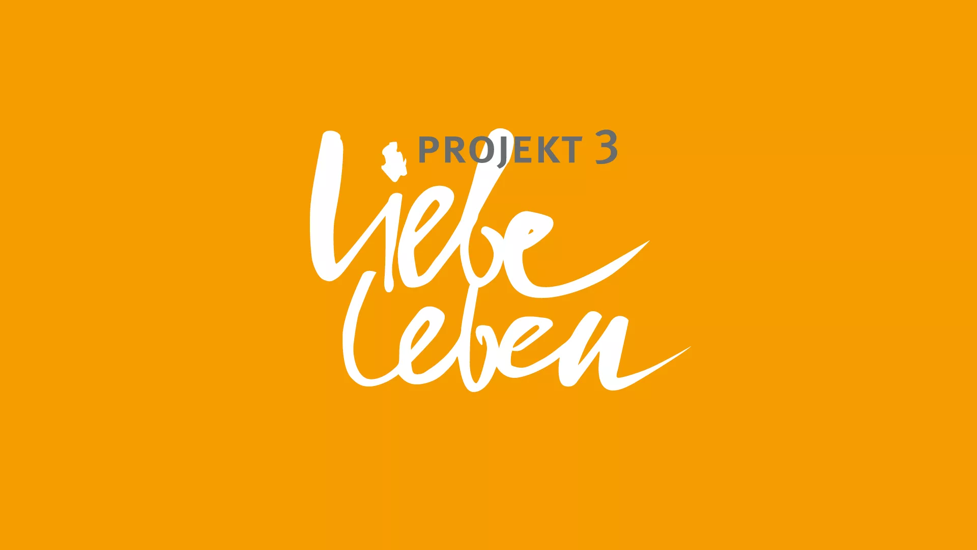 PROJEKT3 liebe Leben