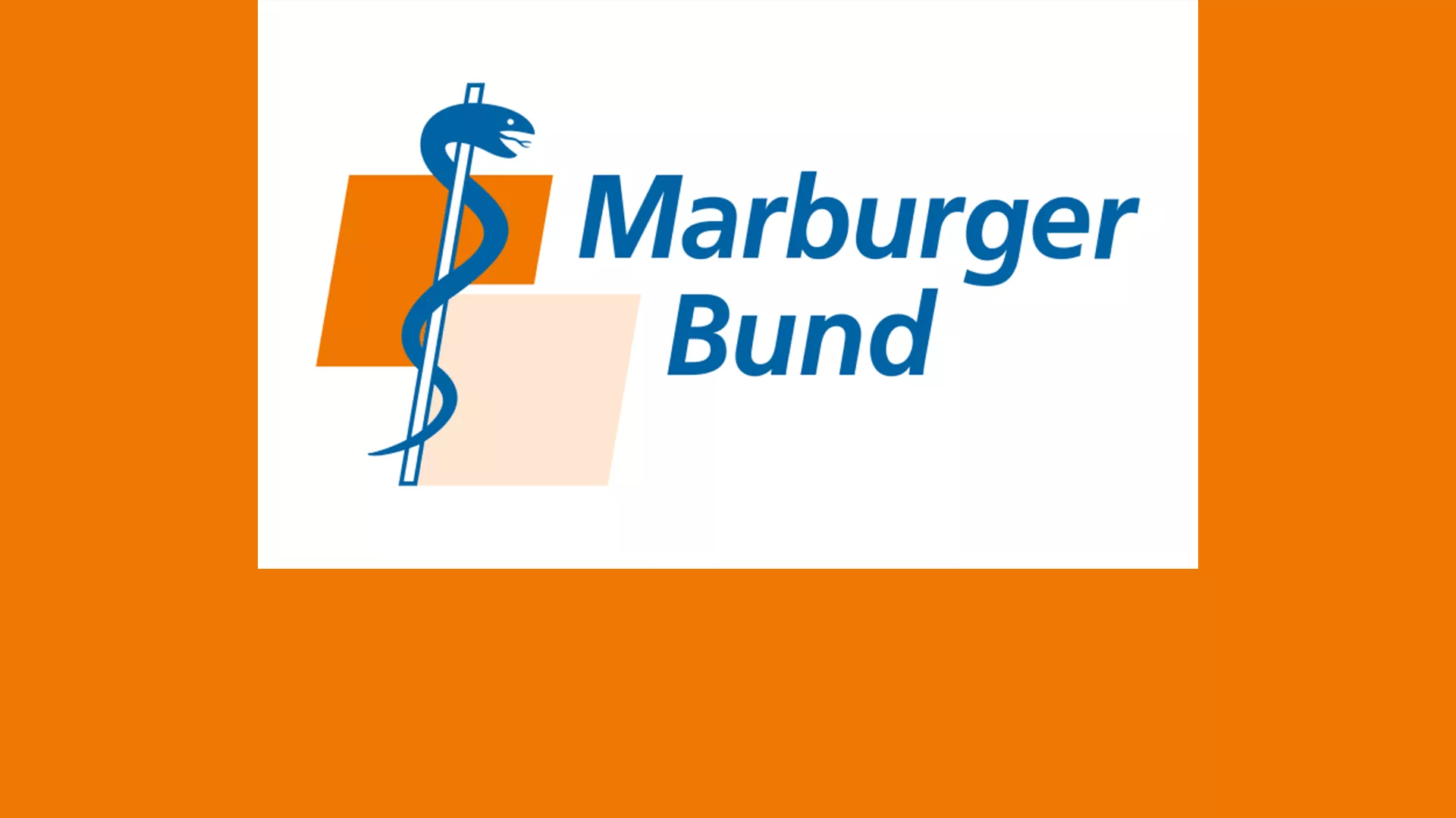 Insights 2016 | Marburger Bund Relaunch