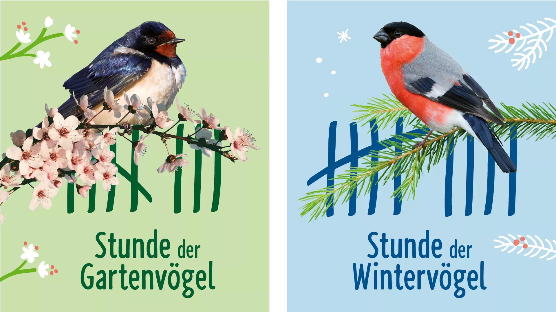Referenzen NABU Vogelzählung | Ansicht Stunde der Gartenvögel & Wintervögel