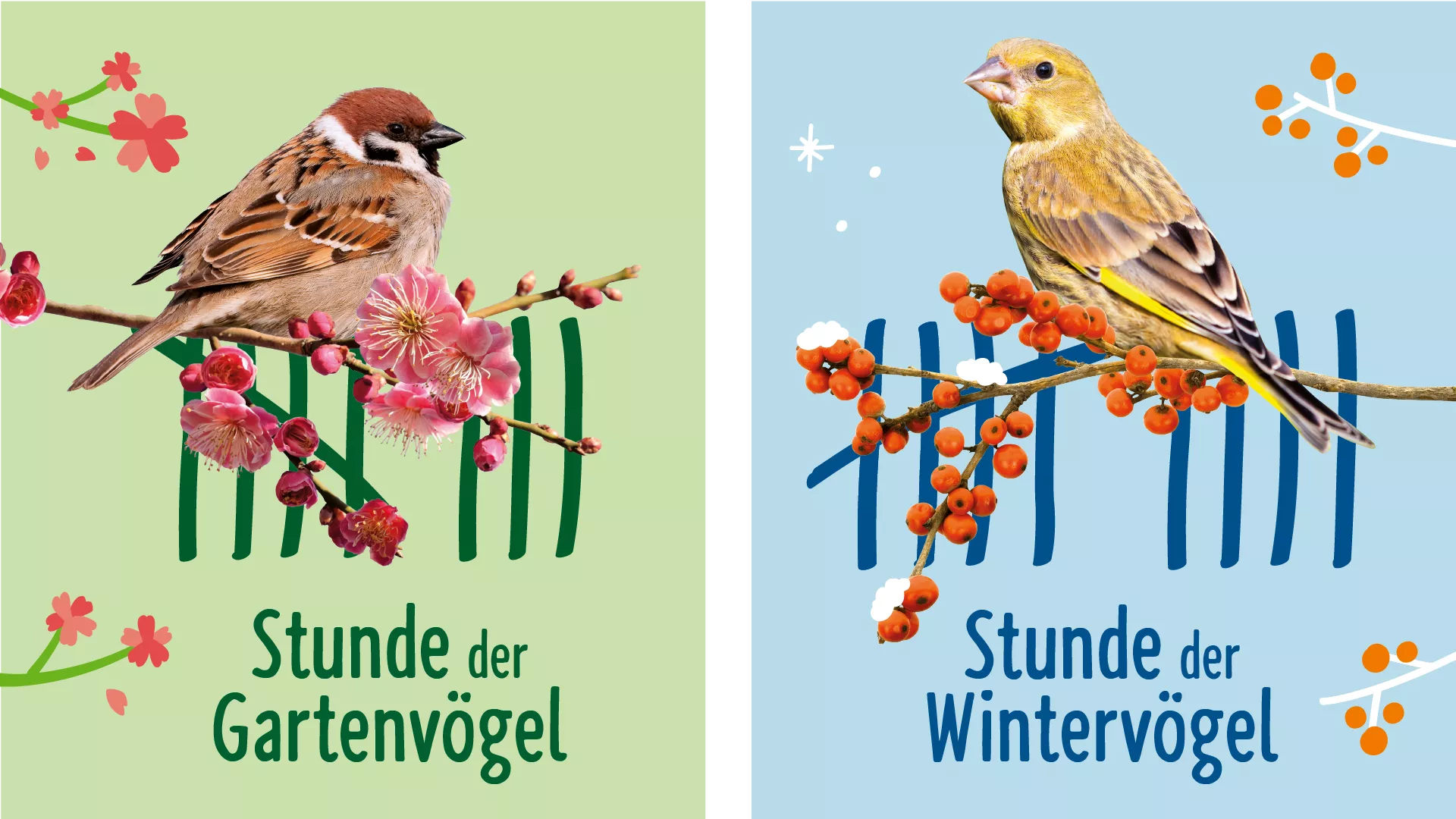 Referenzen NABU Vogelzählung | Ansicht Stunde der Gartenvögel & Wintervögel