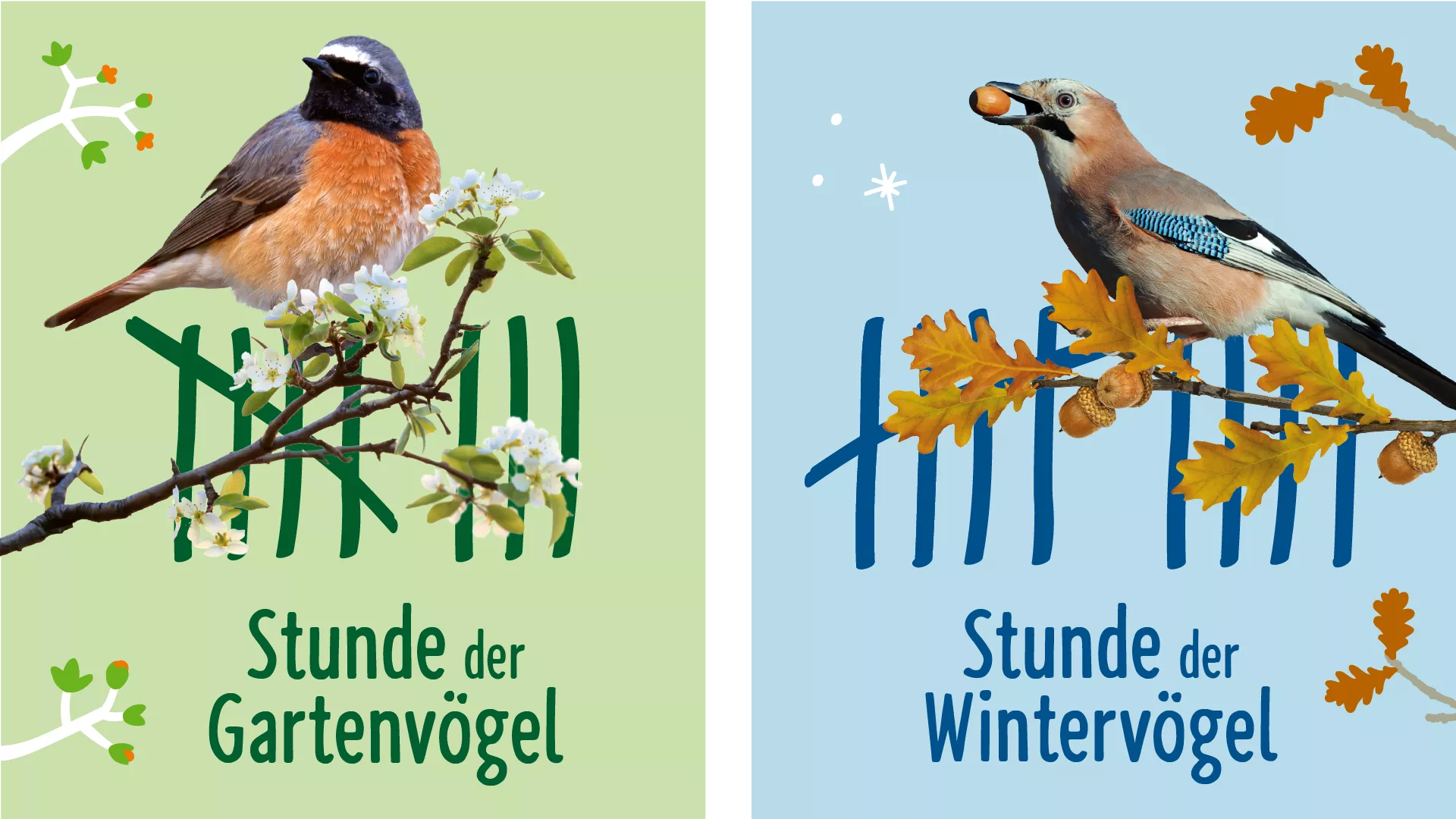 Referenzen NABU Vogelzählung | Ansicht Stunde der Gartenvögel & Wintervögel