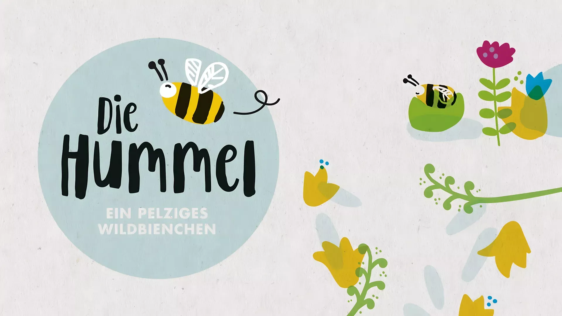 Insights | Illustrationen zur Hummel