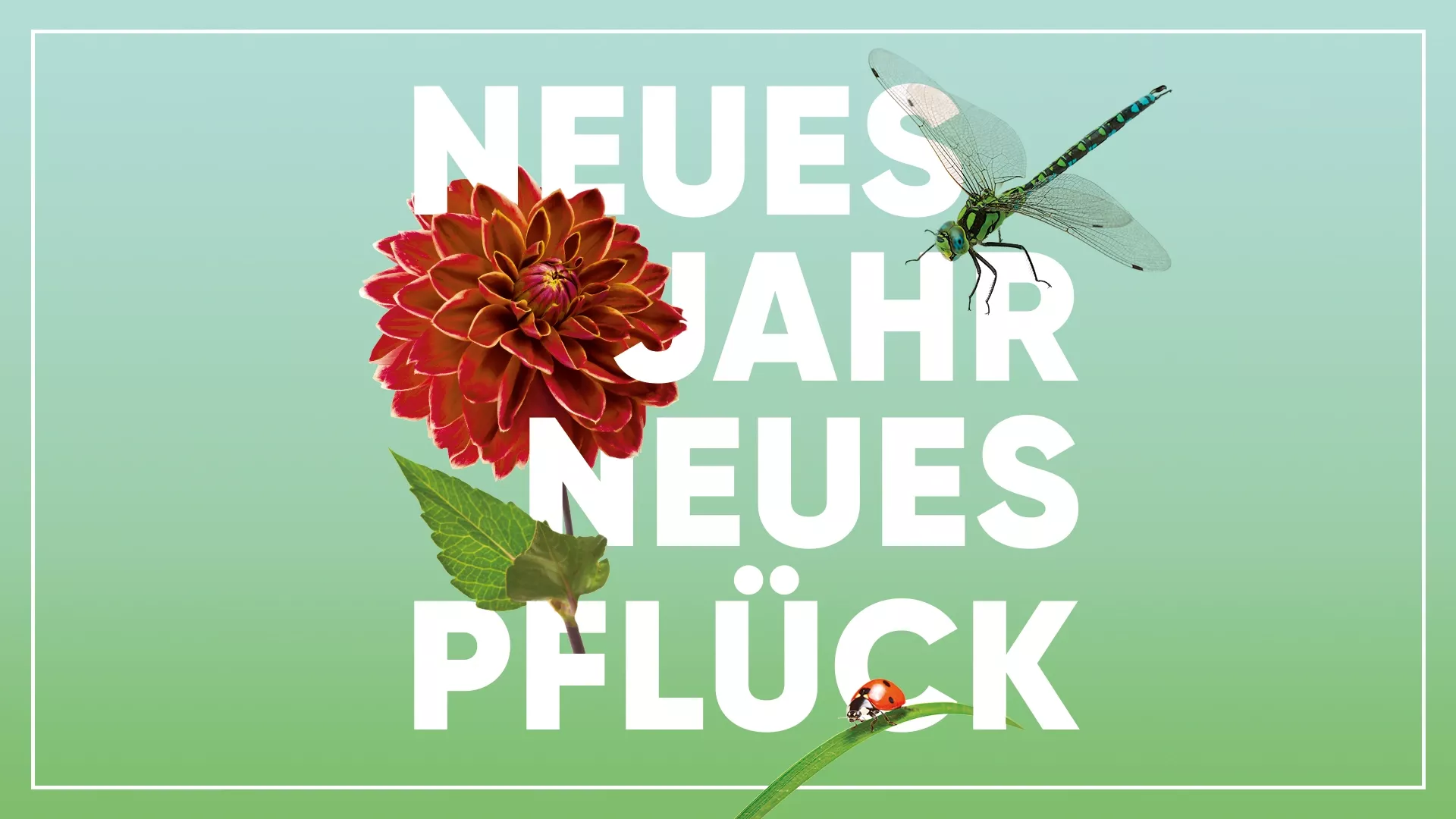 Neues Jahr, neues Pflück