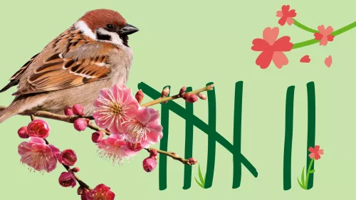 Referenzen NABU Vogelzählung | Spatz auf einem Blumenzweig